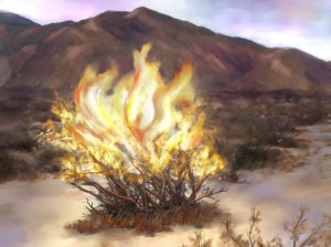 Burning-Bush