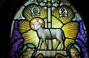 Jesus-lamb-of-God-5-e1378089981810