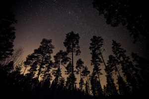 4189047064_67999aecfe