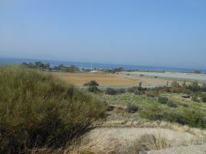 734215_10152379208205043_756632953_n