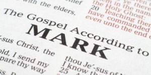 8d0a002b383ff76491fcfa467dac4087