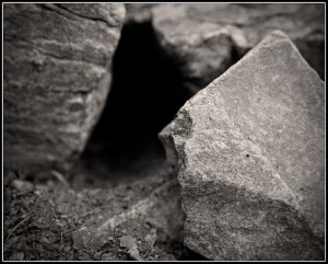 450165977_e5ed7a3617